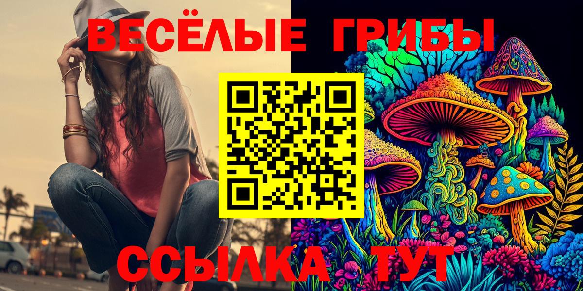 Псилоцибиновые грибы MAGIC MUSHROOMS Кыштым