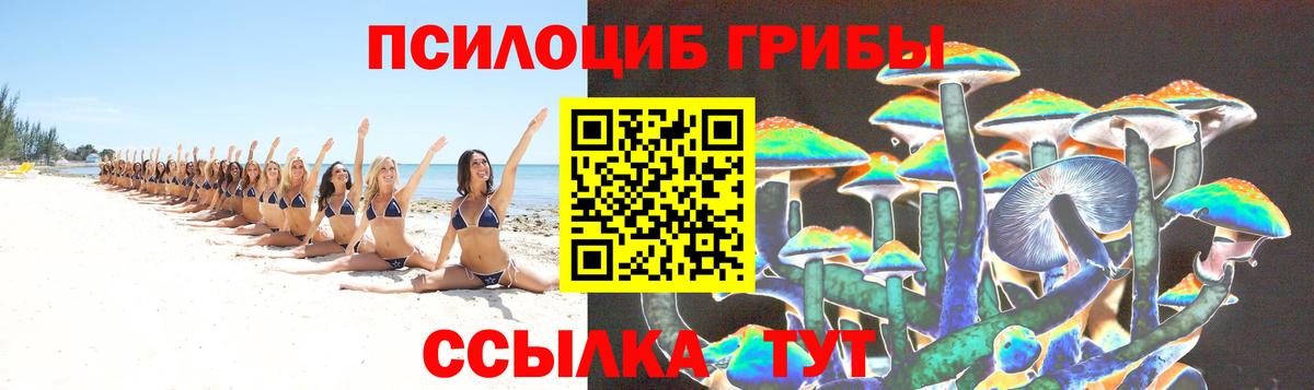 Псилоцибиновые грибы прущие грибы  Вход с VPN  Кыштым 